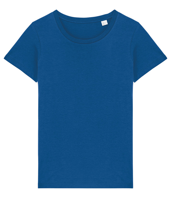 Native Spirit Ladies T-Shirt