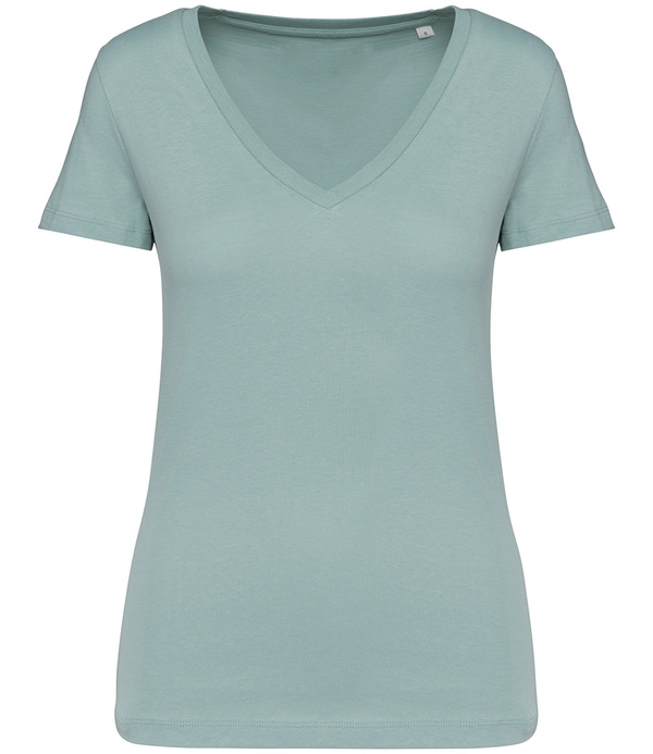 Native Spirit Ladies V Neck T-Shirt